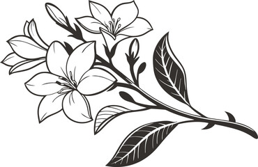 Fototapeta premium Gardenia Flower Set Design for Digital Crafts. Elegant Gardenia Flower Design Set for Printing. Gardenia Flower Set Design for Cricut and DIY Projects