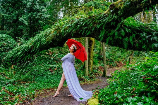 Pregnant woman in white dress with red umbrella under a lush forest archway. WA, USA