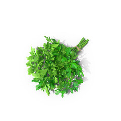 Bunch of Parsley isolated on transparent background