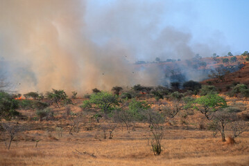 feu de brousse, incendie, Madagascar