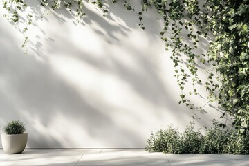 White wall adorned with cascading greenery, sunlit shadows
