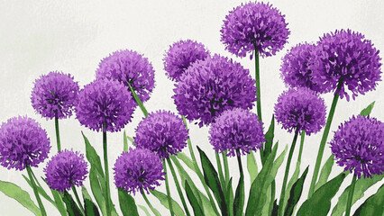 Obraz premium Watercolor Allium: A Symphony of Purple Vibrant Purple Allium Flowers isolated vector illustration svg