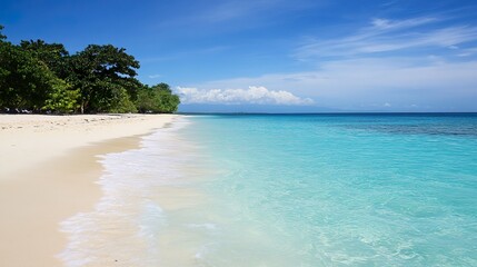 tropical beach with palm trees