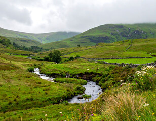 Serene view of a stream winding through lush green hills on a cloudy day. Evokes peace, nature, and escape. Ideal for travel, environmental, or wellness concepts.