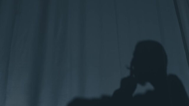 A deep blue curtain backlights a male profile smoking a cigarette. His shadowy silhouette appears in crisp contrast. Smoke drifts upward in soft tendrils. The chiaroscuro effect highlights the act