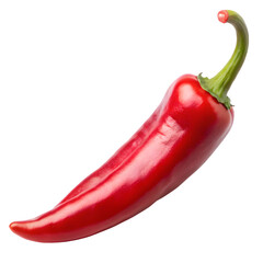 Spicy Red Chili Isolated on White Background