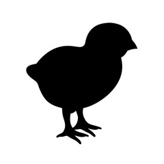Silhouette of a Small Chick Standing on a White Background Illustration