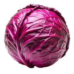Obraz premium Whole Red Cabbage Isolated on White Background