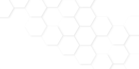 Background with hexagons. Abstract background with lines.creative emboss light honeycomb polygonal web,Abstract white hexagon concept background,white and hexagon abstract background. white paper text