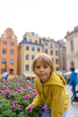 Young preschool child, visiting city of Stockholm with his family, summer, Sweden