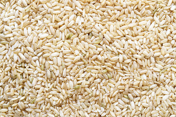 Full frame close up flat lay texture of brown rice for food and nutrition background healthy eating and cooking concept with copy space pattern of organic grains.