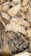 Dried banana leaves texture . For graphic design, space for text