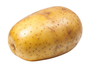 potato on a white background