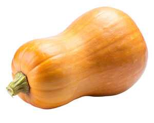 butternut squash isolated on white background