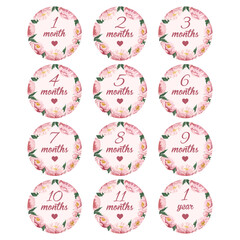 Baby milestone cards Pink round month cards with beautoful peonies flowers It's a girl