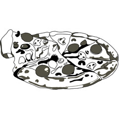 vector illustration of a pizza