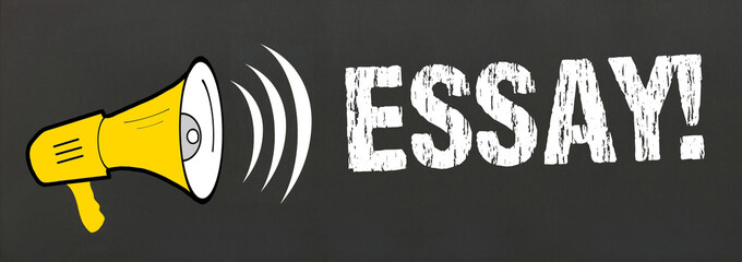 Essay!