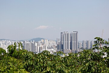 건물