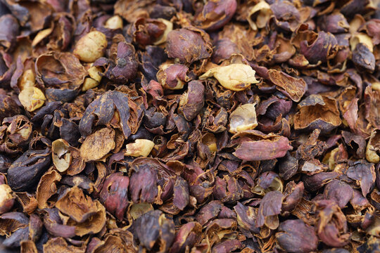 cascara , dried coffee cherry husk