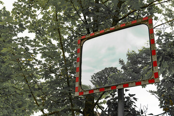 Reflections of nature in a weathered roadside mirror surrounded by lush greenery in a tranquil setting