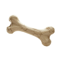 Fototapeta premium 3d prehistoric fossilized dinosaur bone object isolated on transparent background