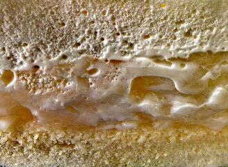 Delicious Layered Cake with Creamy Filling Close-up