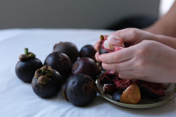 Both hands of a person holding an opened mangosteen or Garcinia mangostana fruit. High quality photo