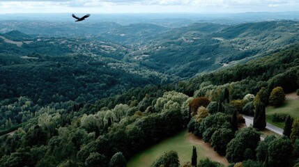 A majestic eagle flies overhead, gliding above the green hills and forests of Tuscany amidst a moody sky filled with clouds