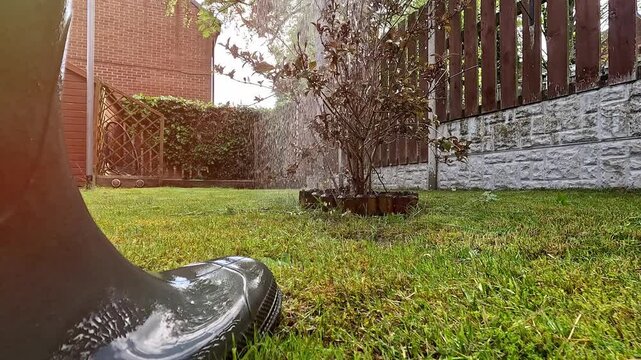 A person watering a lush green garden with a hose during a sunny day. Fresh water sprays over flowers and plants, keeping the garden healthy and vibrant.