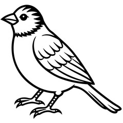 Enchanted Sparrow line art vector