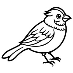 Enchanted Sparrow line art vector