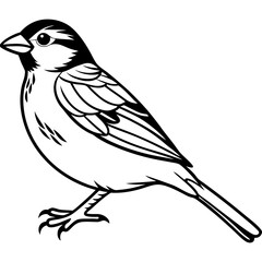 Enchanted Sparrow line art vector