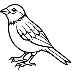 Enchanted Sparrow line art vector