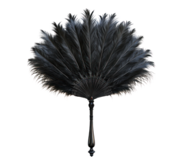 Burlesque feather fan on transparent background