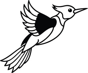 Woodpecker Bird Illustration