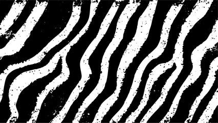 Texture with plain black and white zebra pattern, Black and white wavy stripes. Abstract background.