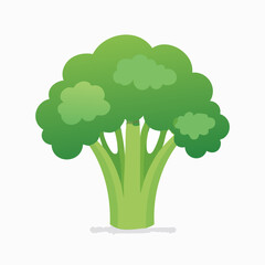 Fresh Broccoli Simple Vector Illustration – Healthy Organic Vegetable Clipart for Food, Nutrition, and Farm Design