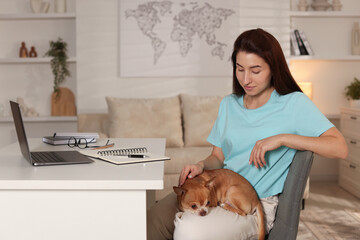 Young woman with her cute dog working on laptop at desk in home office. Space for text