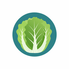 Fresh Green Lettuce Simple Vector Illustration – Organic Vegetable Clip Art for Healthy Food and Farm Design