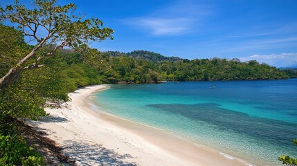 Pristine white sand beach meets turquoise water, lush tropical foliage, and a clear sky