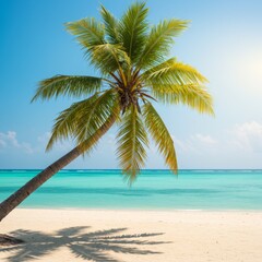 Leaning Palm Tree on Tropical Beach
