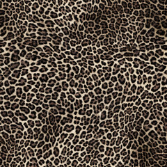 Leopard texture, small print, wild cat skin, spots, wool, stylish fabric design