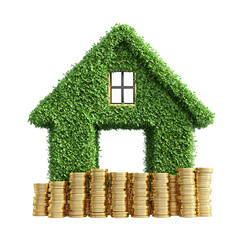Sustainable investment: an eco-friendly home with financial backing for the future
