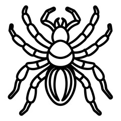 Obraz premium Metallic Tarantula line art vector