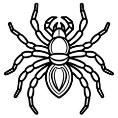 Metallic Tarantula line art vector