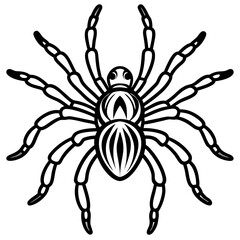 Obraz premium Metallic Tarantula line art vector