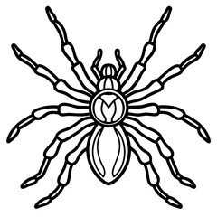 Obraz premium Metallic Tarantula line art vector