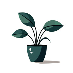 Minimalist Ornamental Plant in Pot