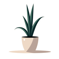 Minimalist Ornamental Plant in Pot