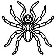 Metallic Tarantula line art vector